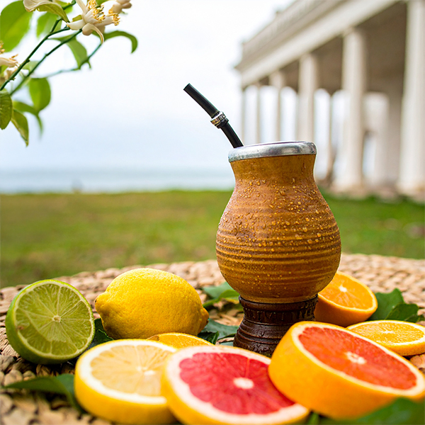 Yerba mate et agrumes - découvrez le goût de l'été dans votre gourde mate !