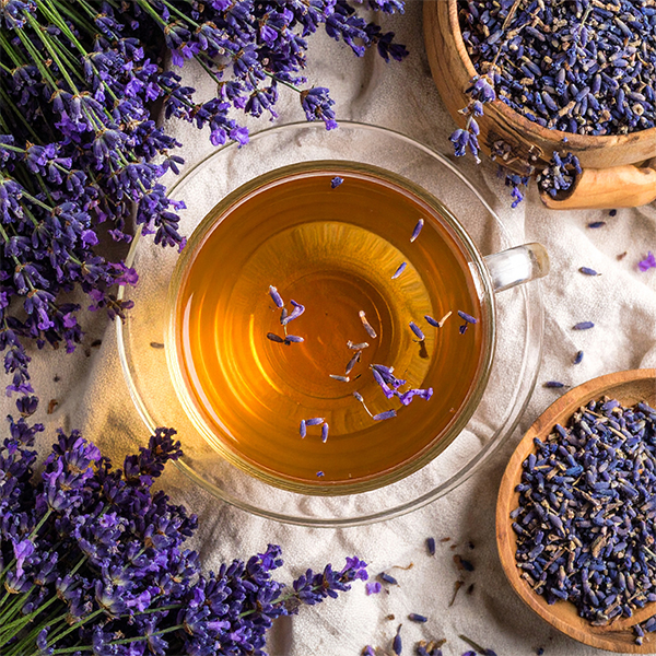 Un moyen naturel de se détendre ? La lavande ! Propriétés et utilisations