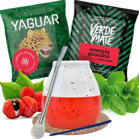 Yerba mate ensemble Calebasse + Bombilla 2x50g