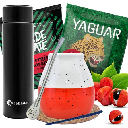 Kit de démarrage de Yerba Mate Thermos Calebasse 2x50g