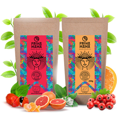 Set de démarrage de Guayusa Pachamama 2x250g