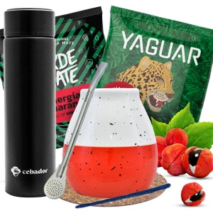 Kit de démarrage de Yerba Mate Thermos Calebasse 2x50g